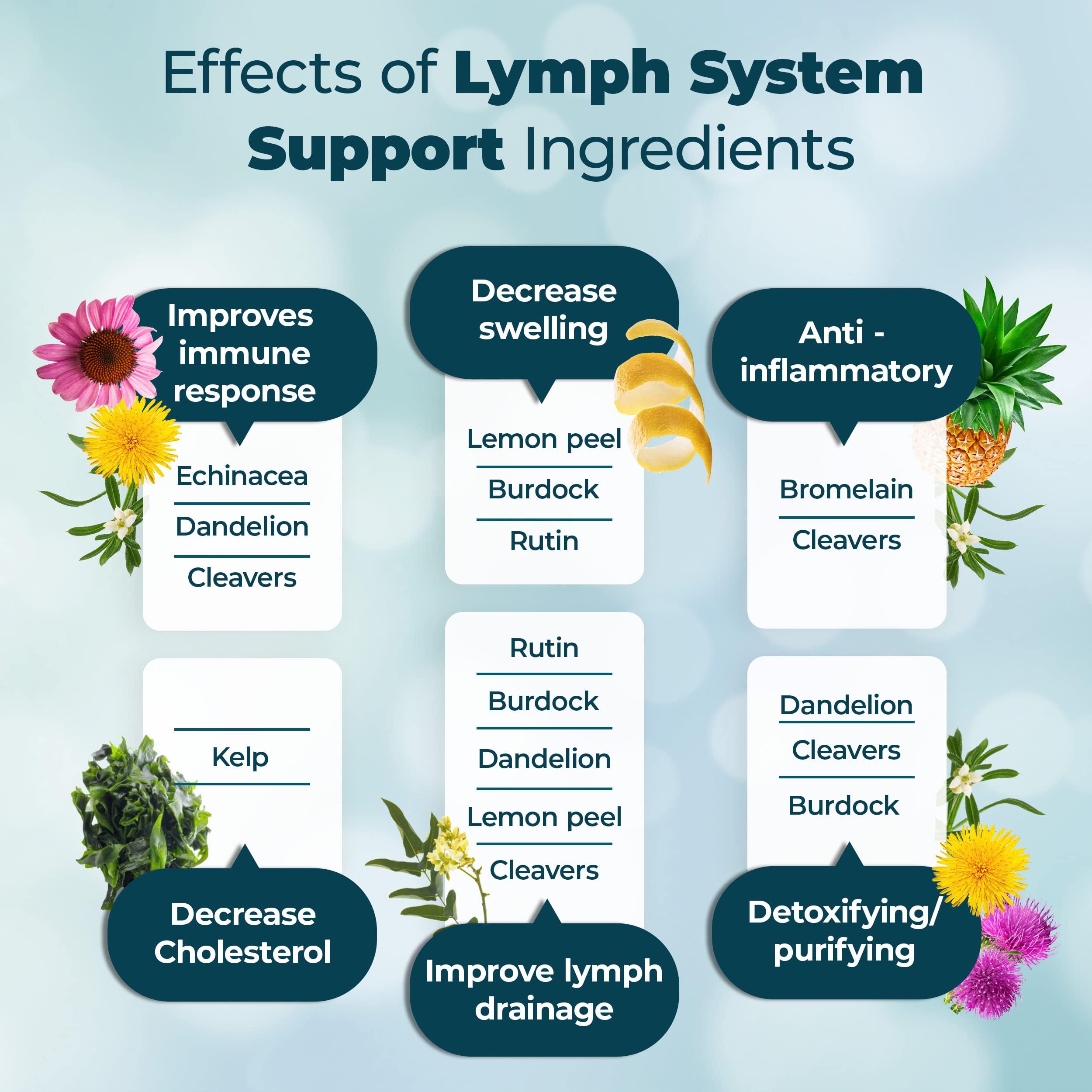 PureHealth Research Lymph System Support capsules arranged for easy daily routine.