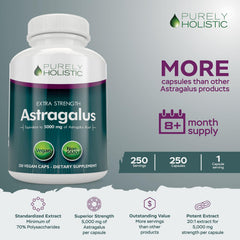 Purely Holistic Astragalus bottle label highlights 20:1 extract and vegan-friendly formula.