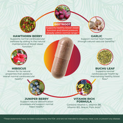 Graphic of the 14-in-1 blend featuring hawthorn, hibiscus, garlic with PurePremium branding.