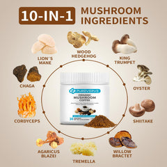 Pureverve Mushroom Coffee scoop showing the 10-mushroom blend for daily adaptogen boost.