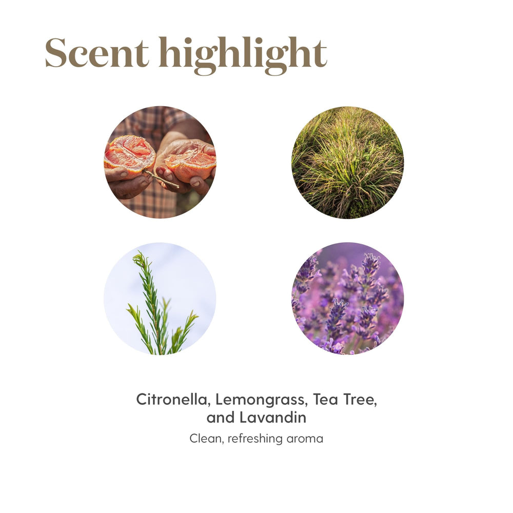 Young Living Purification packaging ready to gift or store