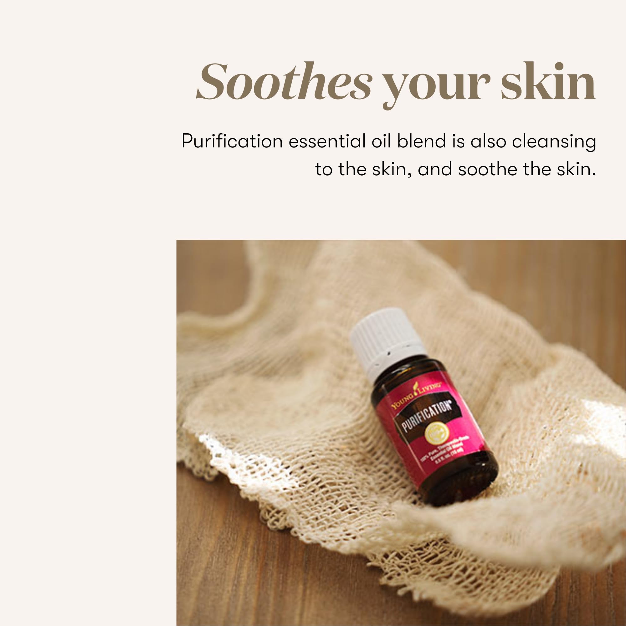 Young Living Purification scent-diffusion creating a fresh living room ambiance.