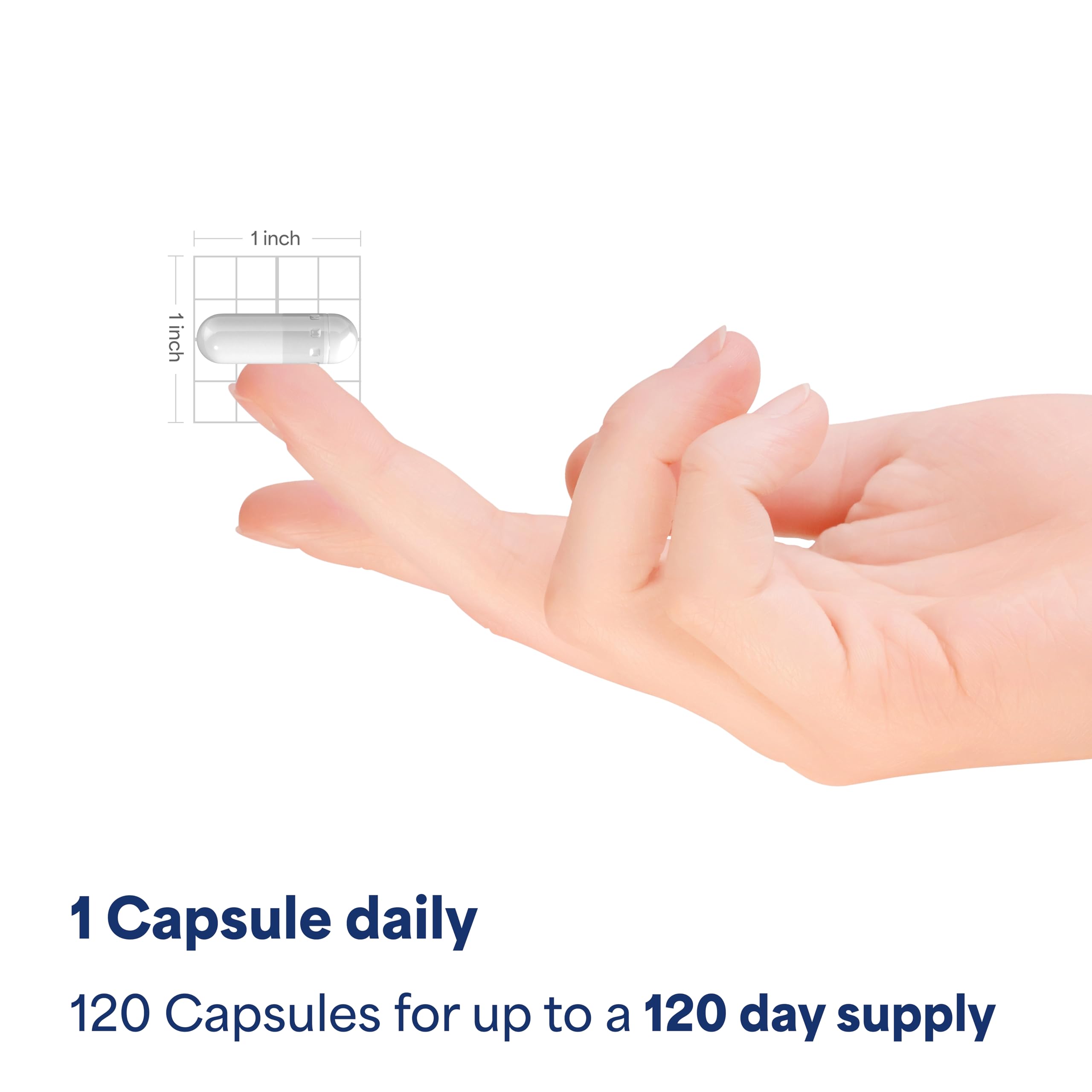 Puritan's Pride coral calcium nerve-function illustration related to everyday signaling