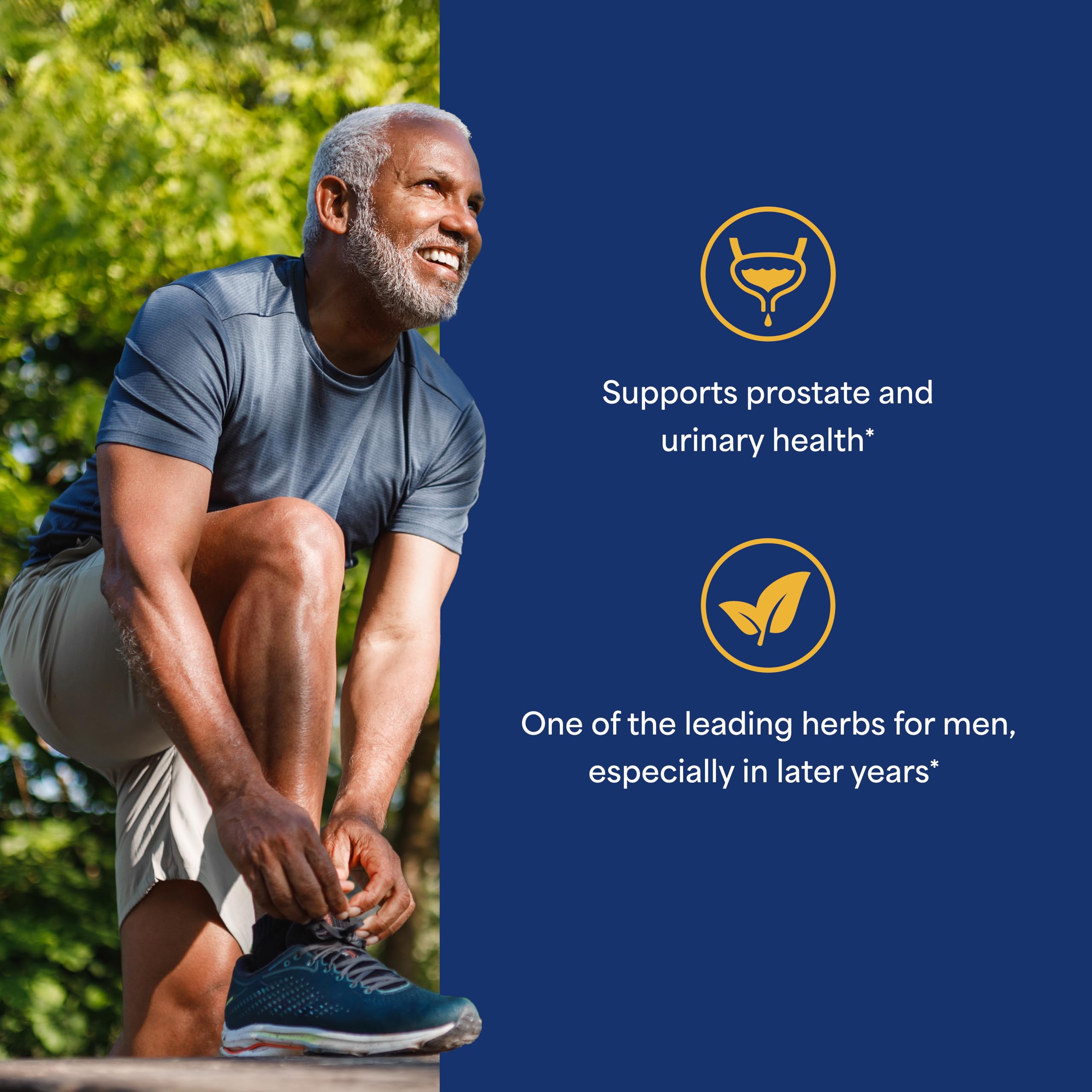 Standardized potency 85-95% fatty acids and sterols in Puritan's Pride softgels.