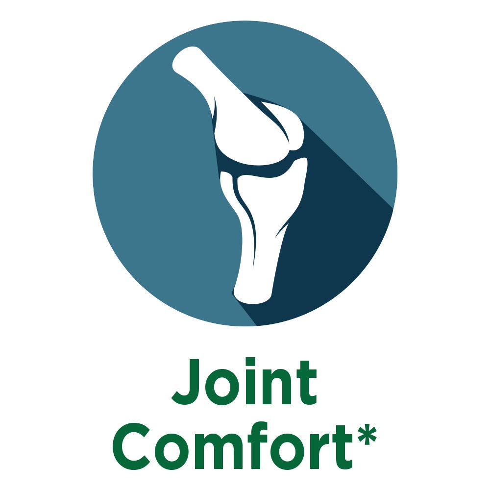 Purity Products CoQ10 energy support at cellular level.