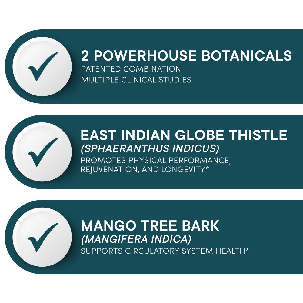 Purity Products Globe Thistle herb emphasizes the East Indian botanical component.