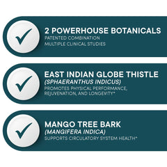Purity Products Globe Thistle herb emphasizes the East Indian botanical component.