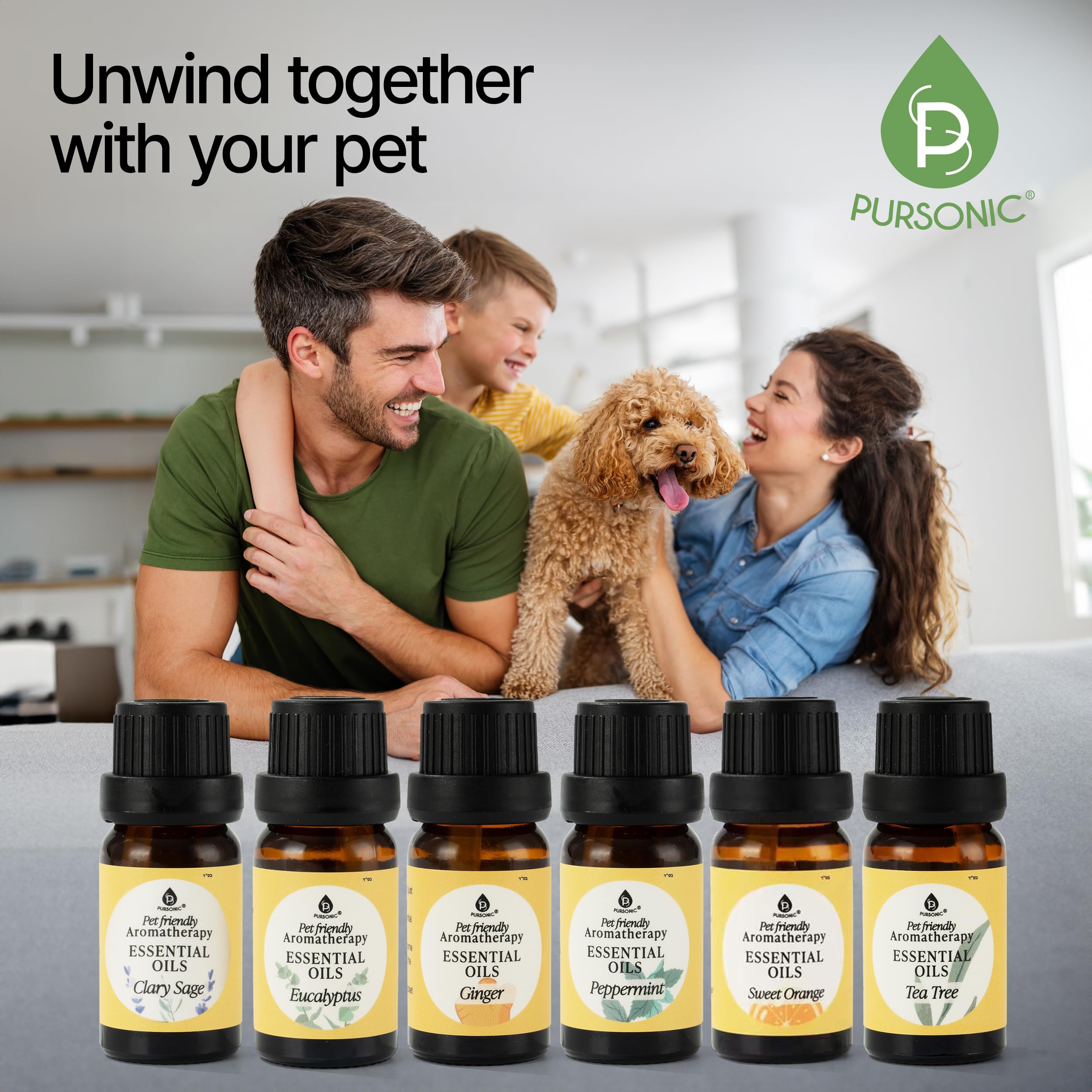 Pursonic packaging box showcases recyclable packaging for eco friendly gifting.