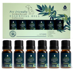 Pursonic pet-friendly oils collection box promotes calm routines for pets.