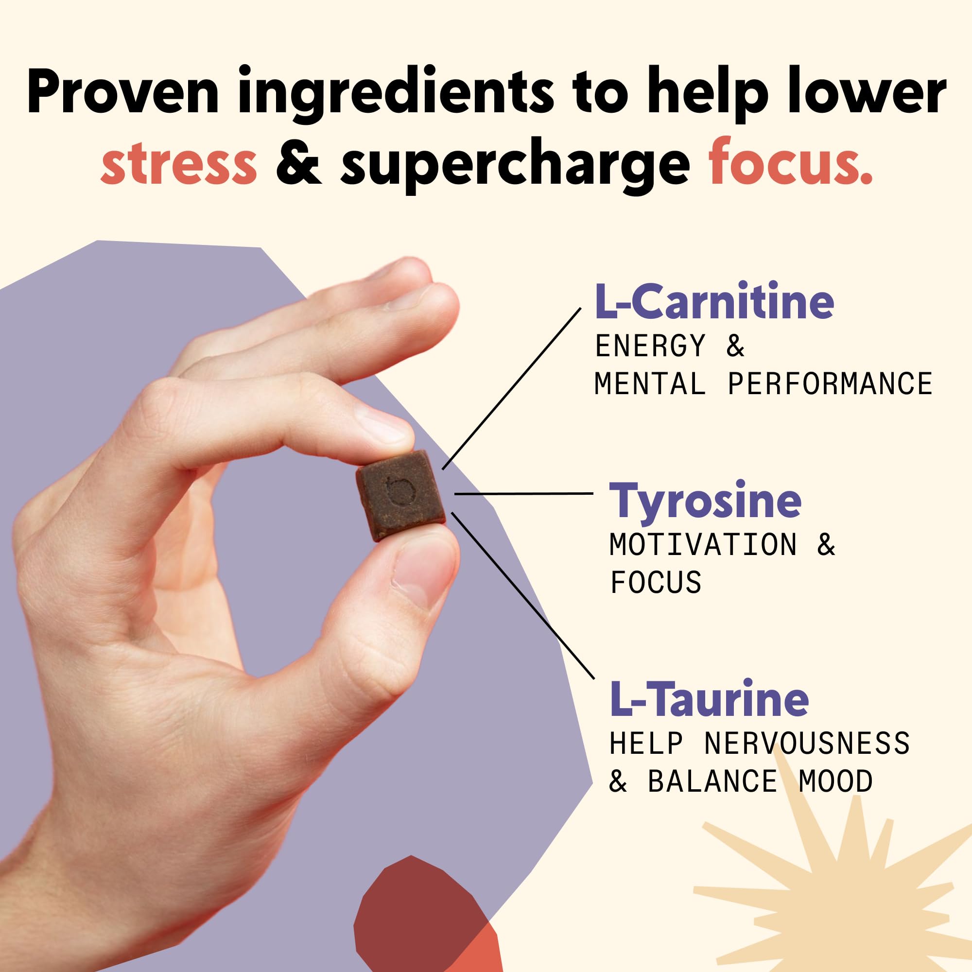 PYM Attention Chews made in the USA label visible, supporting quality and safety