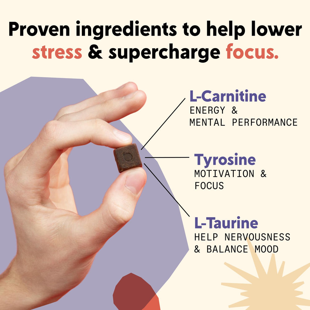 PYM Attention Chews made in the USA label visible, supporting quality and safety