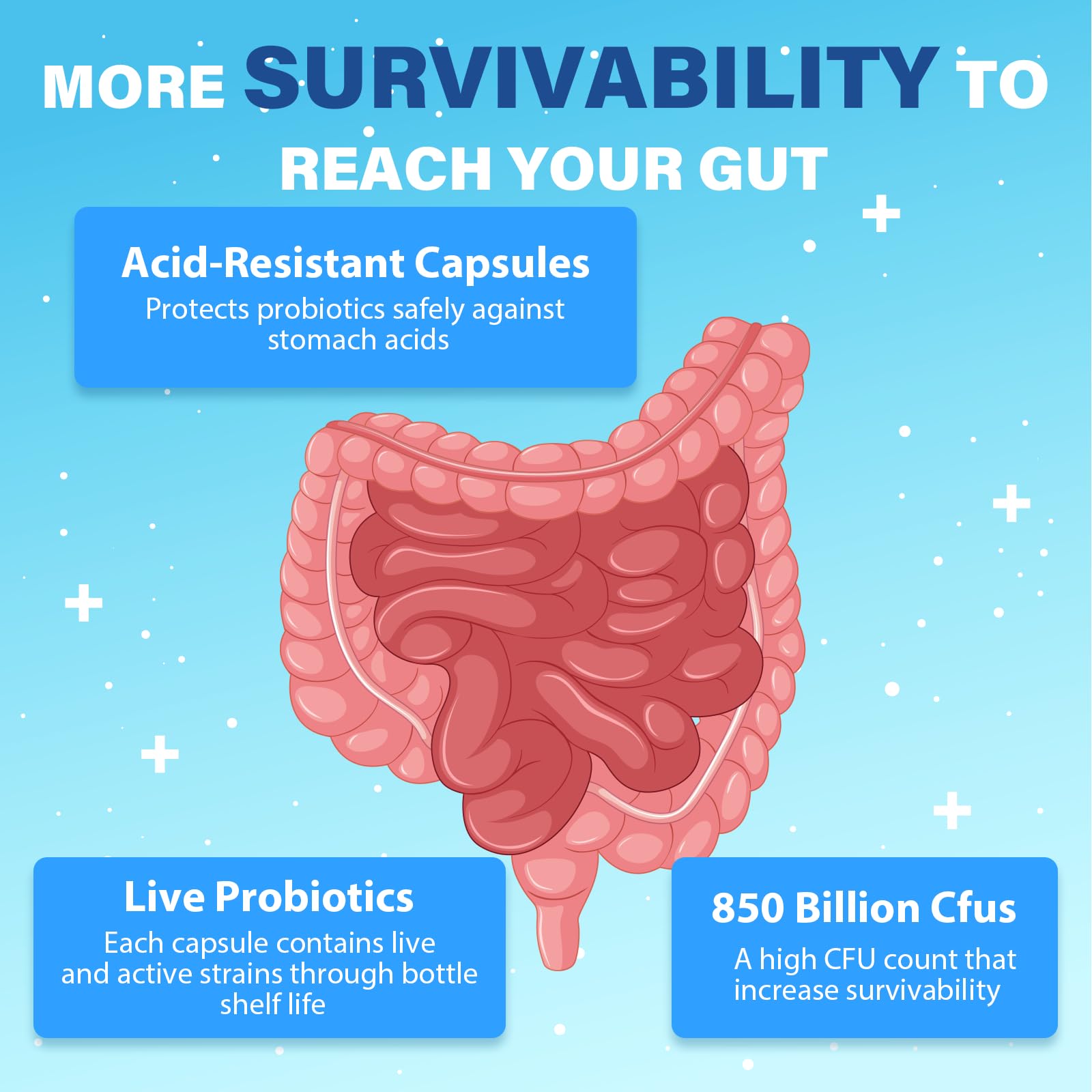 Label design photo showcases 850 Billion CFU potency and probiotic range.