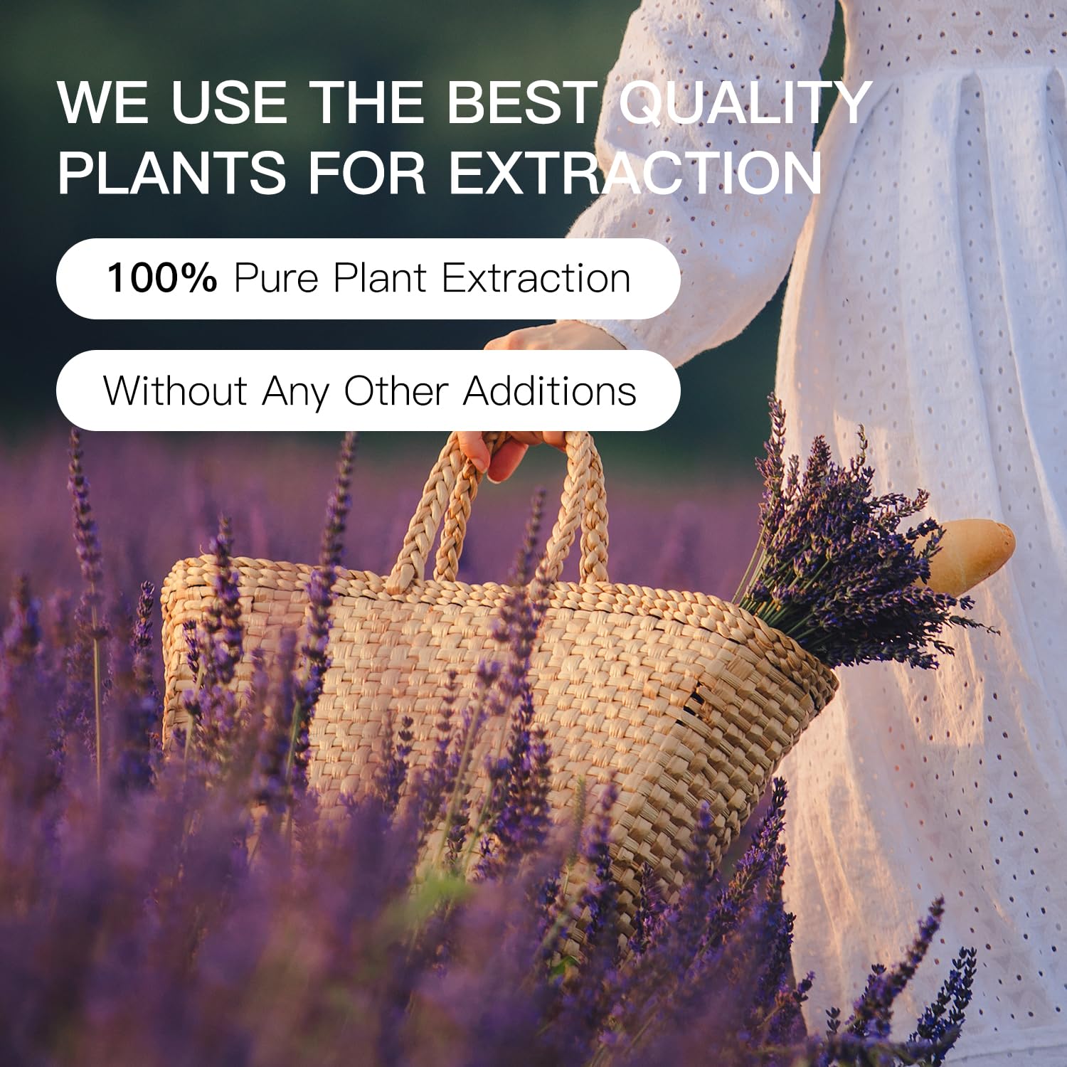 QONG lavender oil used in skincare routine for soothing fragrance.