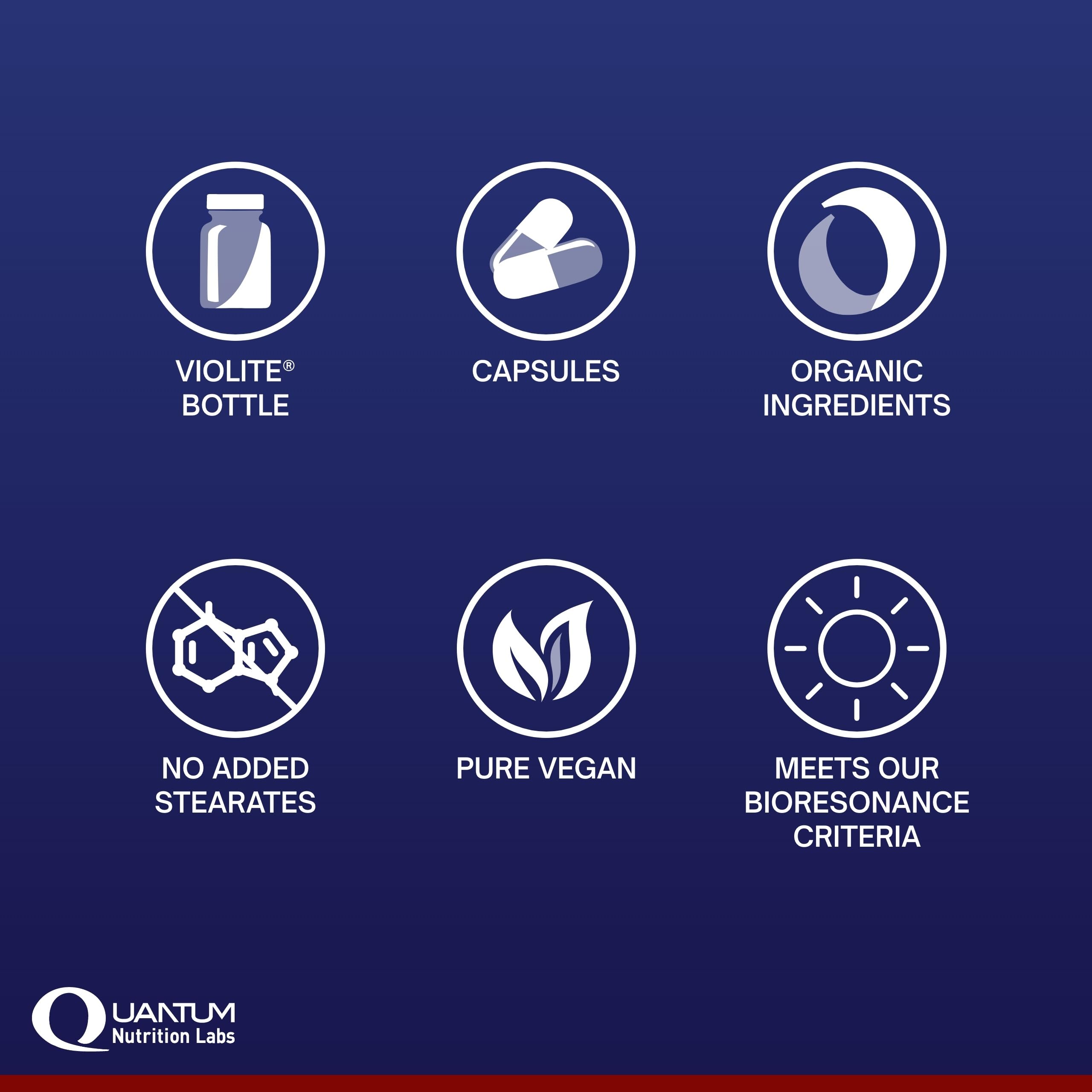 Illustration of enzyme blend highlights amylase, protease, pepsin for digestive support.