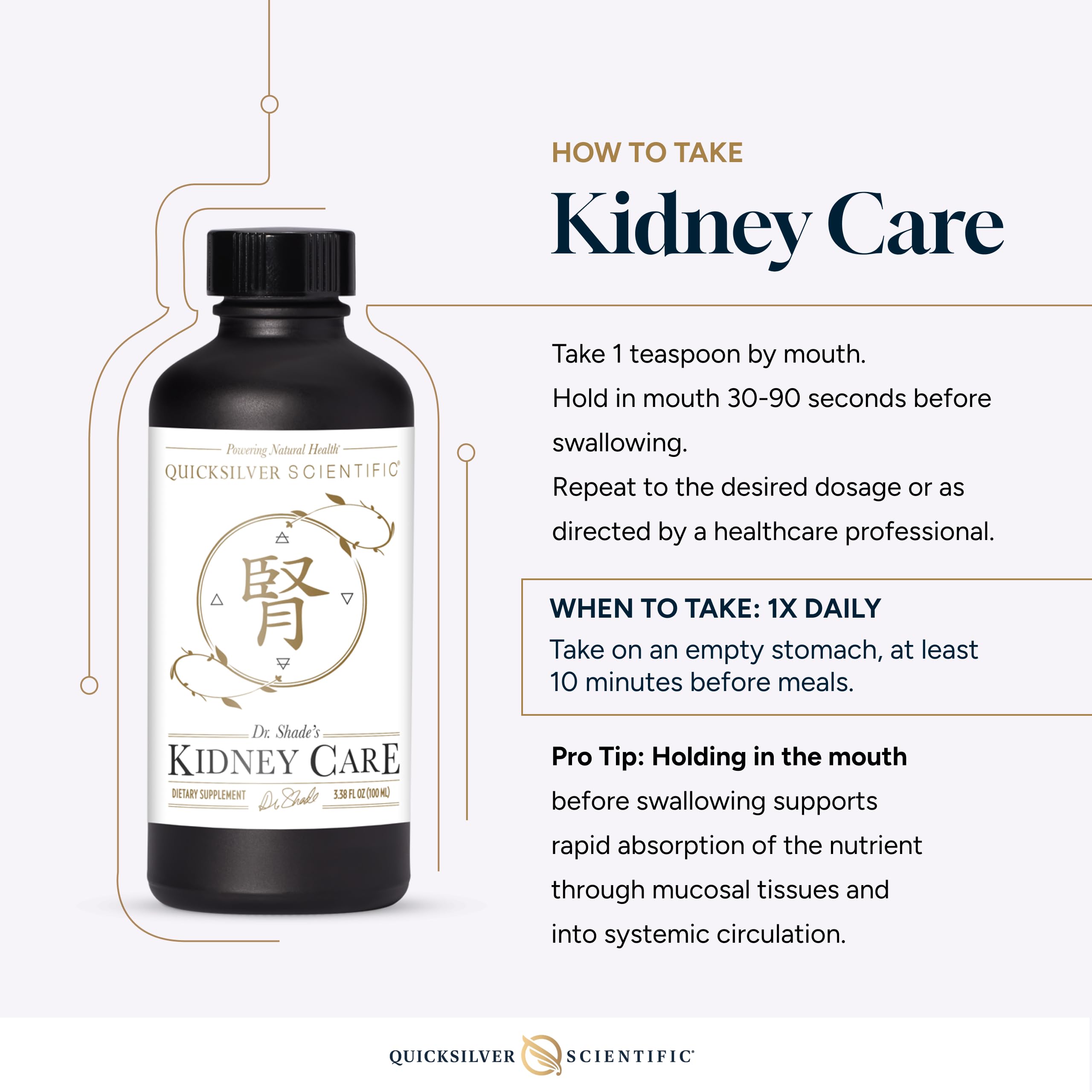 Quicksilver Kidney Care ferulic acid visual emphasizes natural antioxidant support.