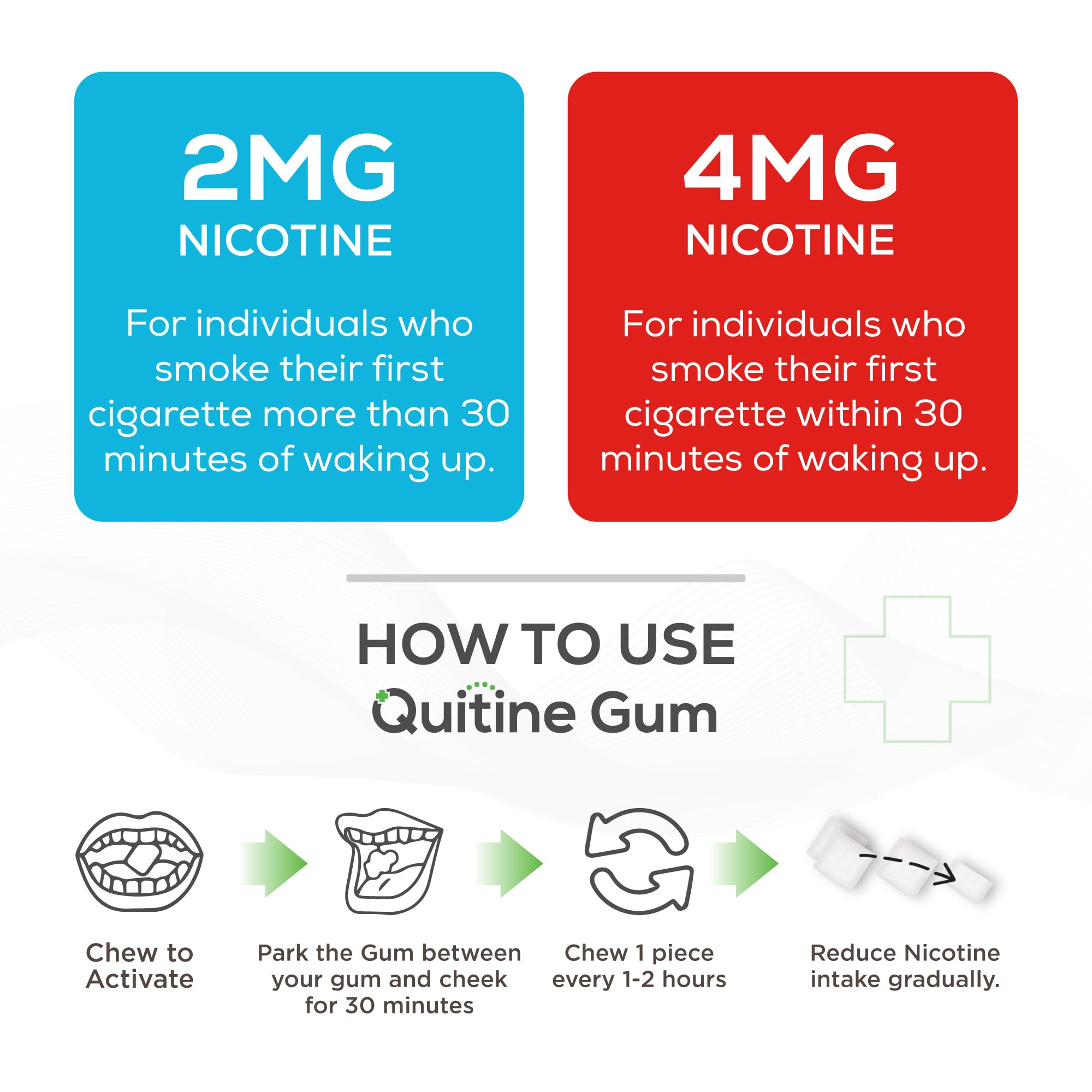 Closeup of Quitine 2mg Mint gum highlights refreshing flavor.