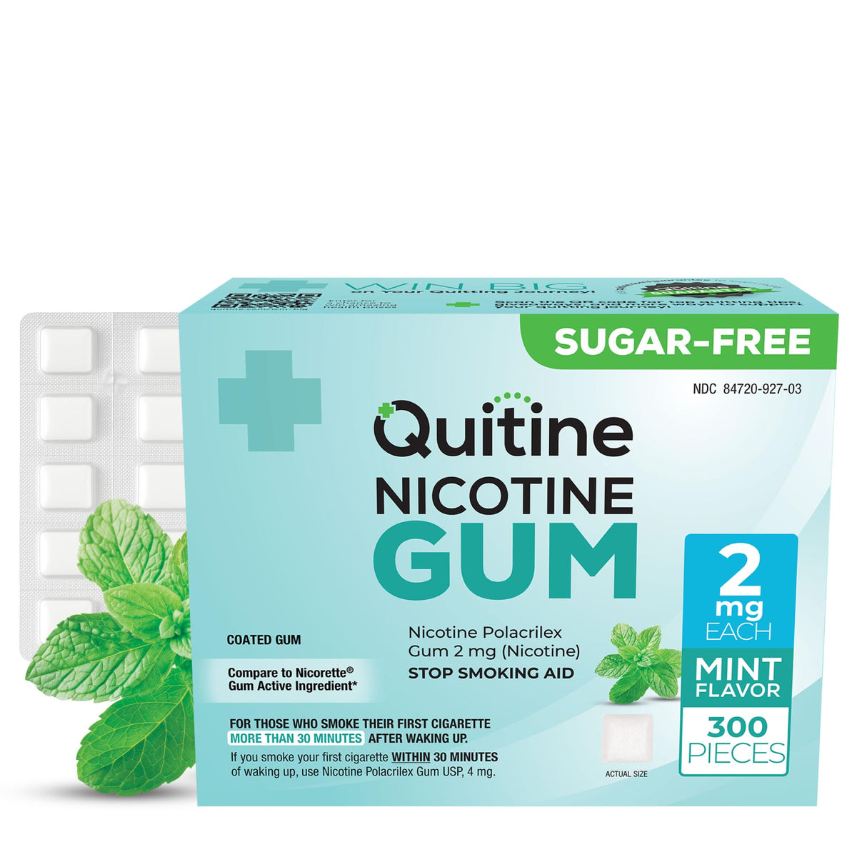 Quitine nicotine gum 2mg Mint pack front supports cravings relief on the quit journey.