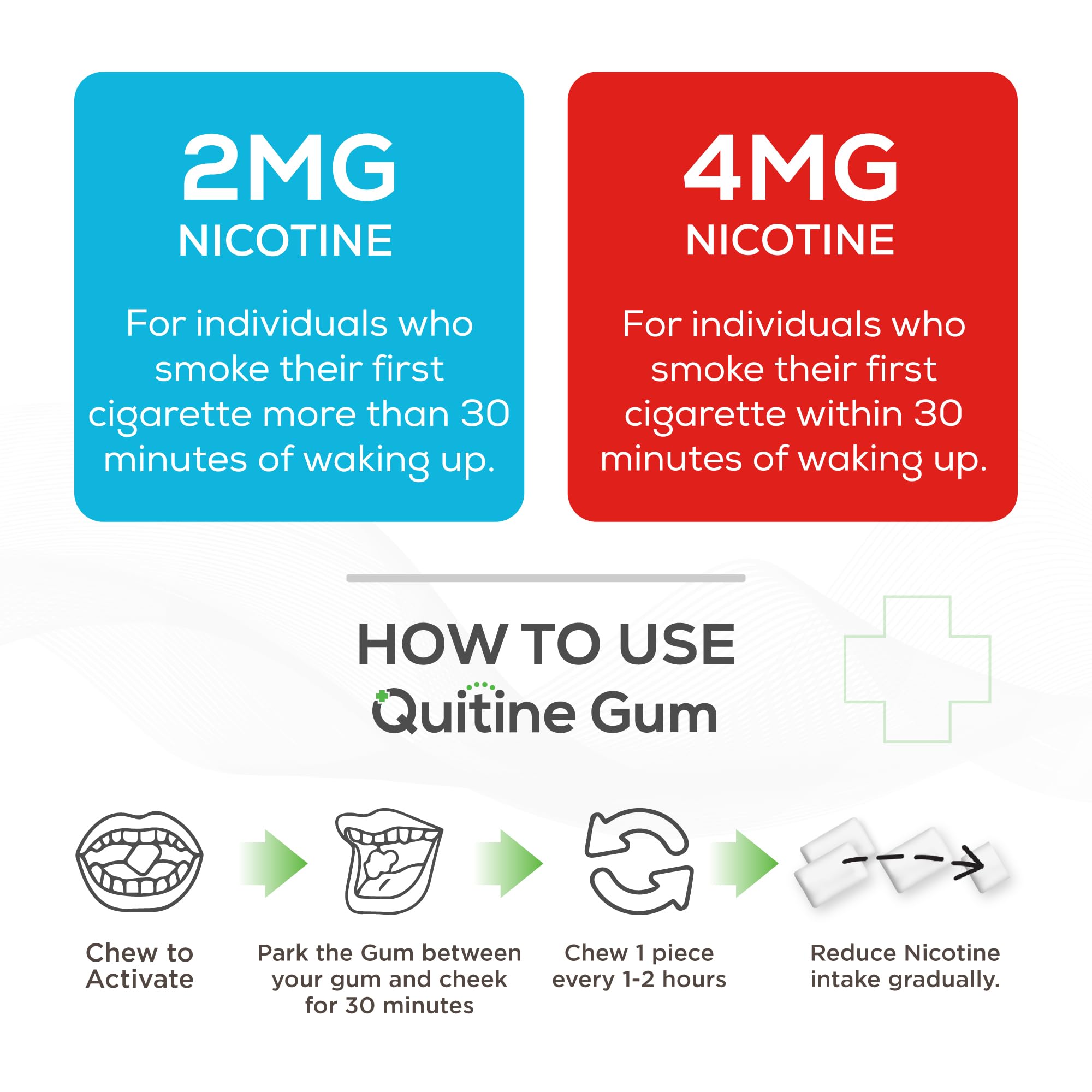 Quitine 4mg Mint gum pieces close-up showing texture for chewing
