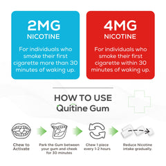 Quitine 4mg Mint gum pieces close-up showing texture for chewing