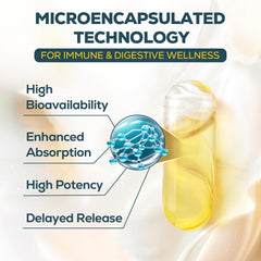 Quorinthiumax supplier diagram of a microencapsulated capsule.