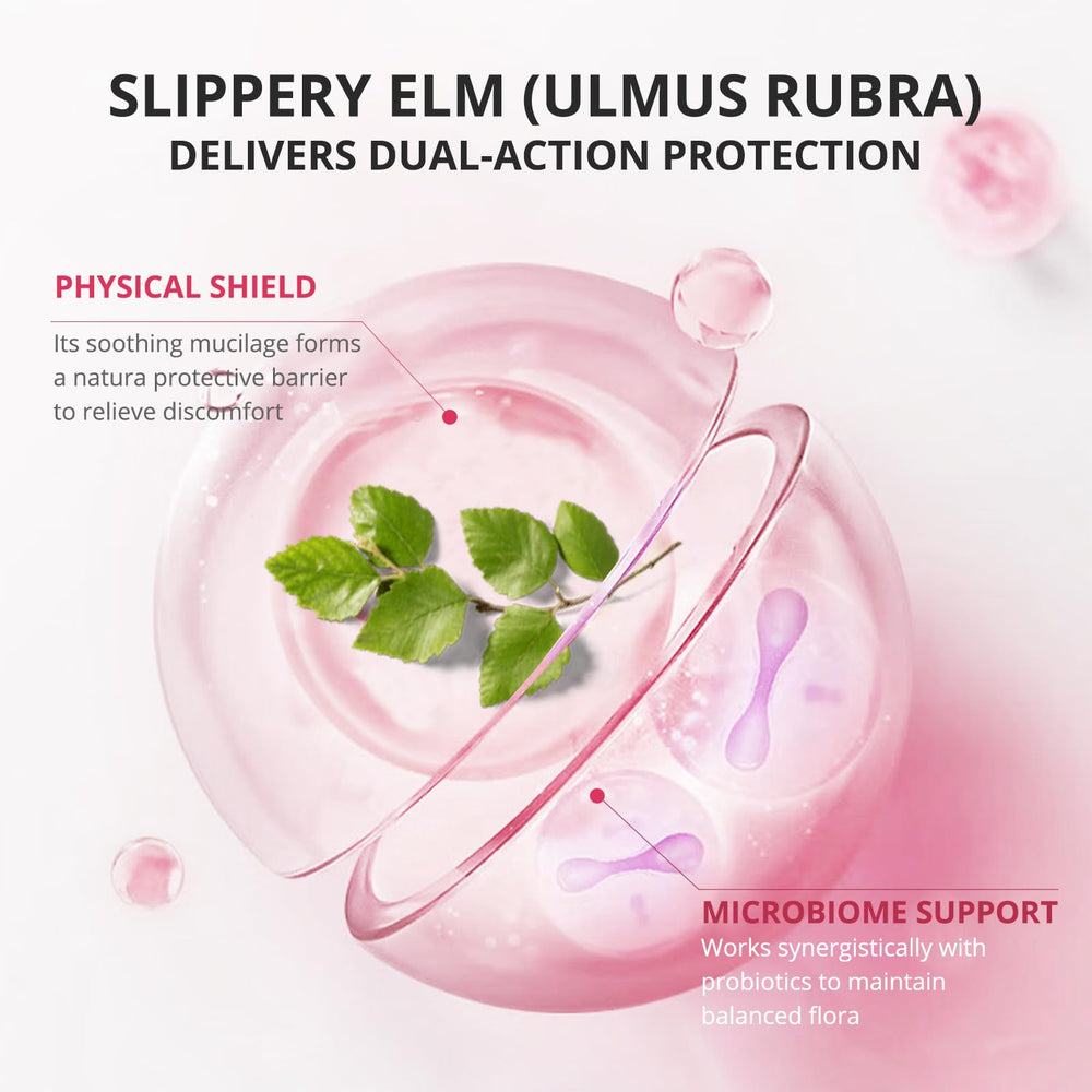 QVQ Probiotic blend noted for digestive balance and wellness potential