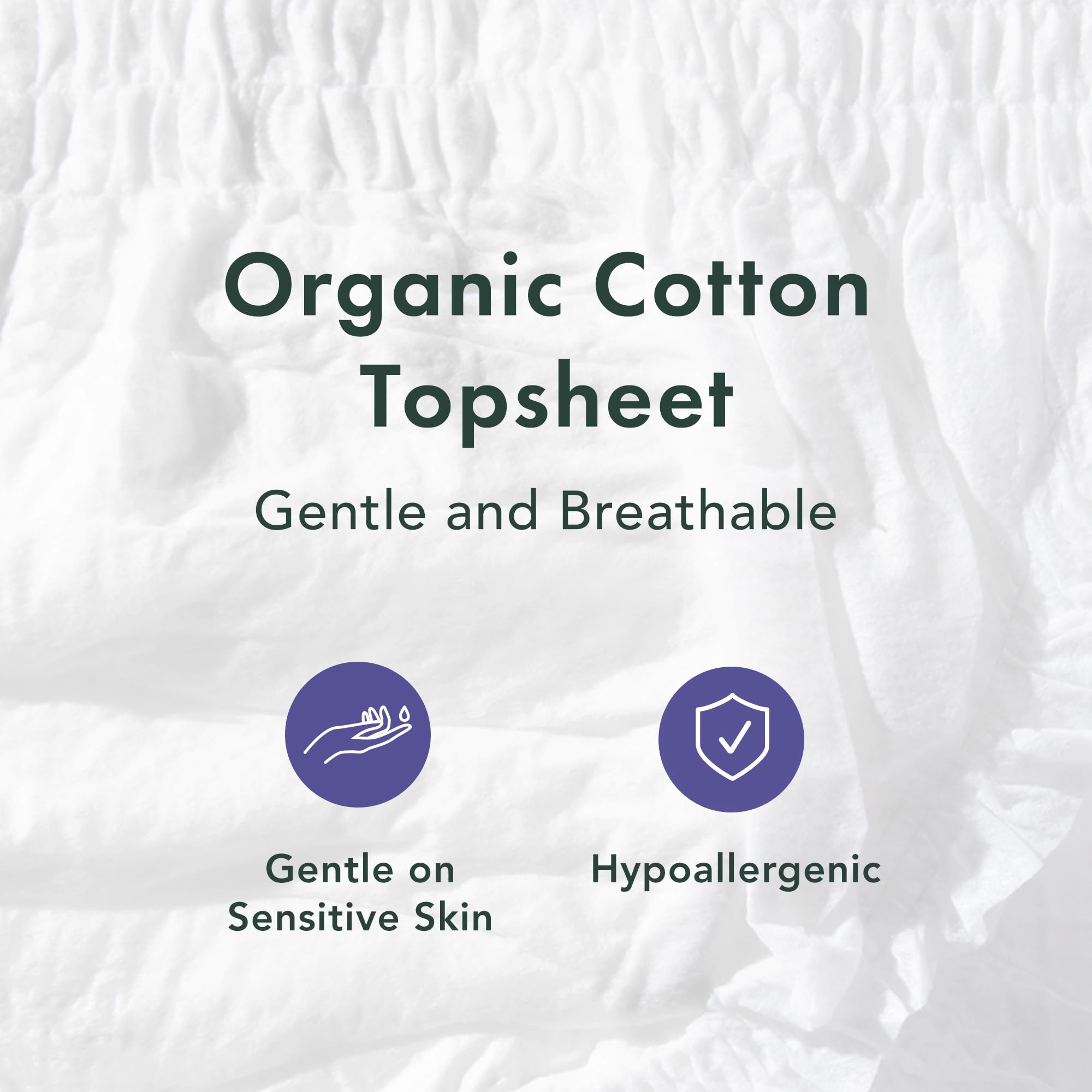 Rael disposable underwear unscented-postpartum-essentials offers fragrance-free comfort during postpartum days.