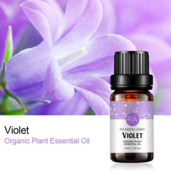Rainbow Abby Violet oil pack front view ideal for DIY blends and personal fragrance.