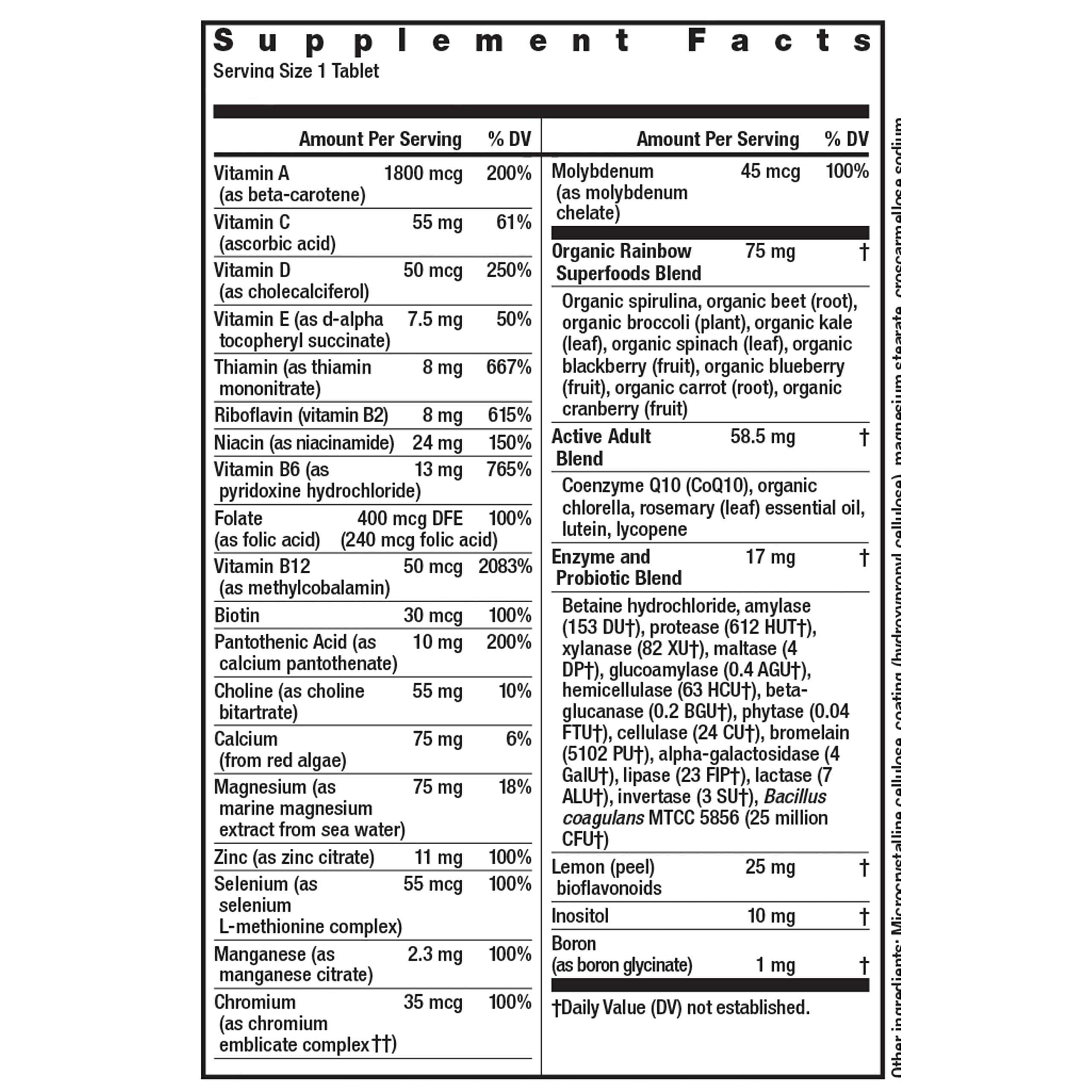 Rainbow Light Active Adult 50+ tablets close-up, showing easy-to-take daily form