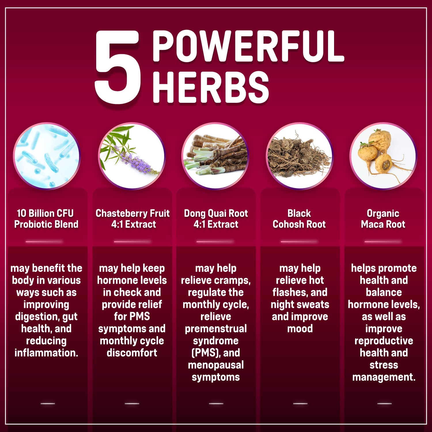 Rainbow Nutrients Hormone Balance ingredients bowl with maca and chasteberry