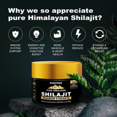 Rasstenix Shilajit Resin texture close-up showing natural minerals