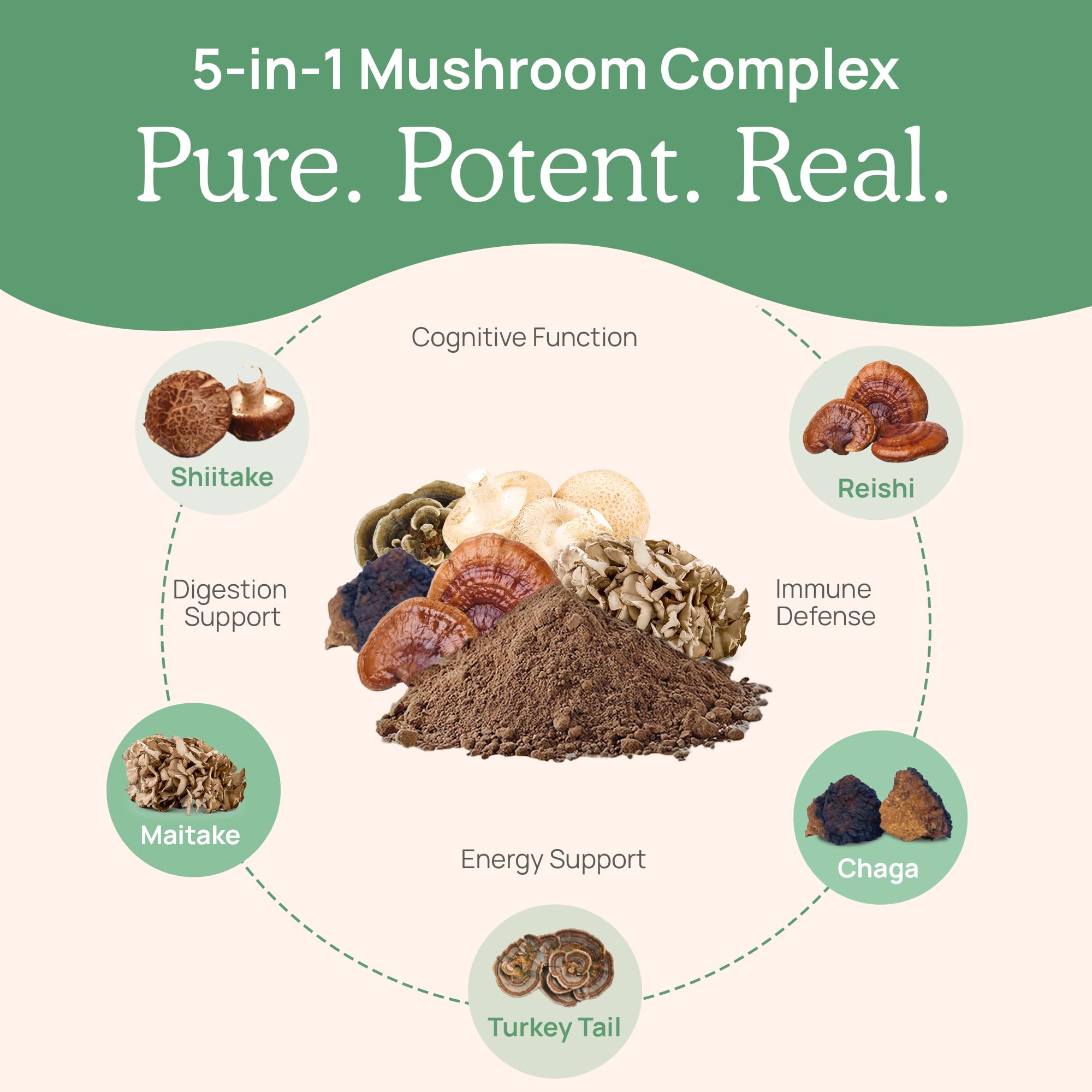 Real Mushrooms 5 Defenders capsules closeup, vegan and gluten-free format