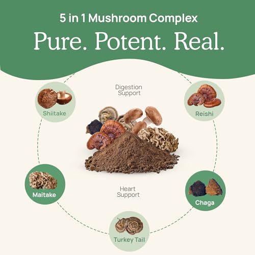 Real Mushrooms 5 Defenders packaging box shown for shelf display