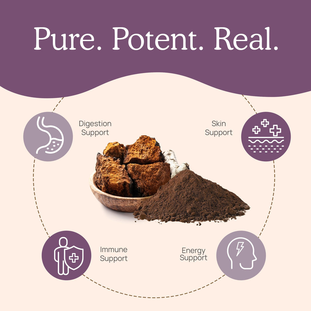 Holding Real Mushrooms Chaga Capsules emphasizes portability for on-the-go use.