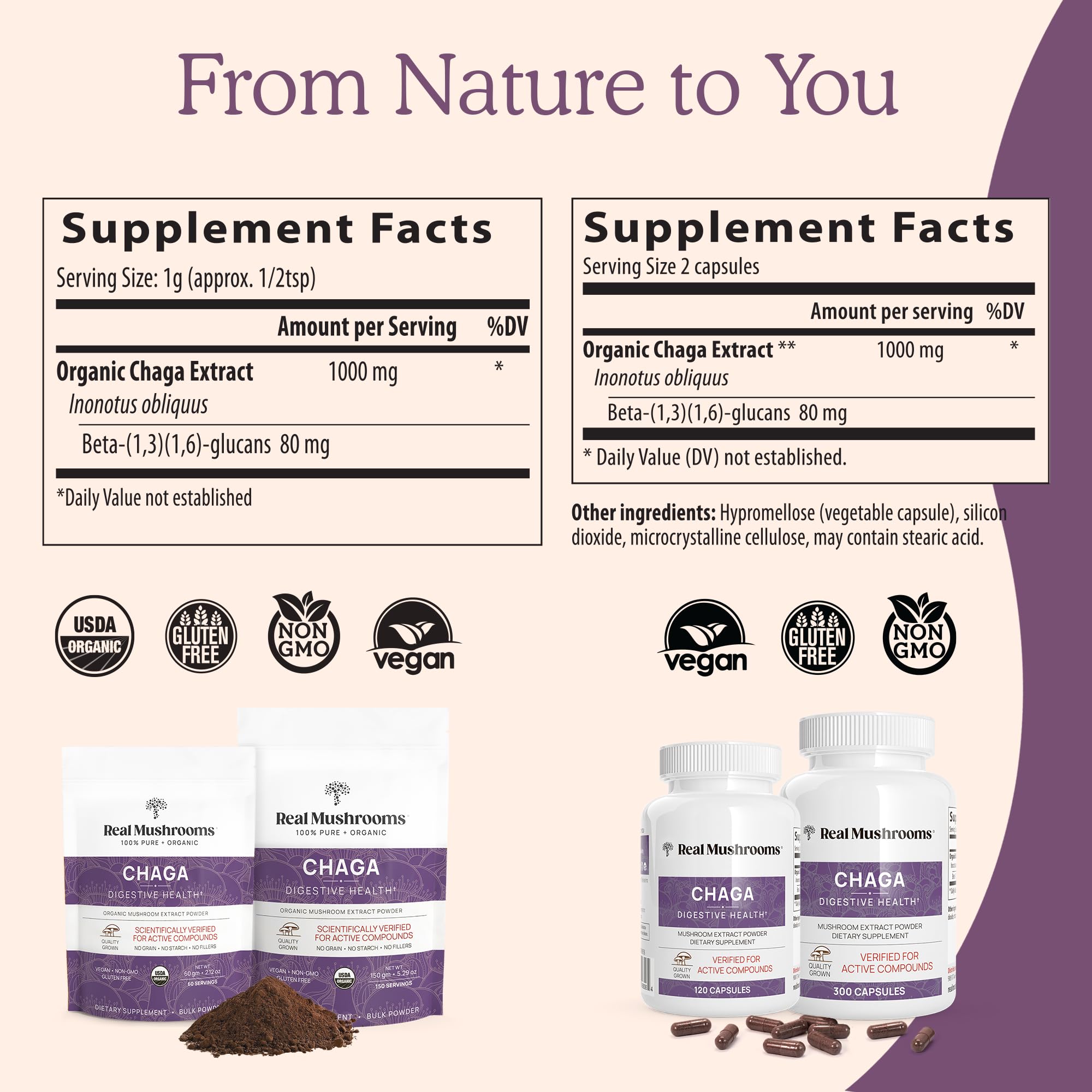 Chaga capsules poured into spoon for easy daily use.