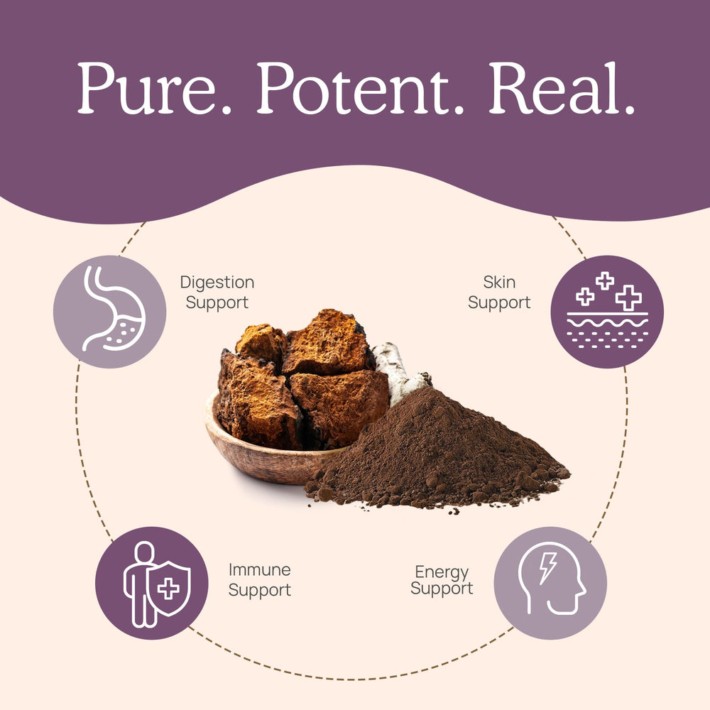 Real Mushrooms Chaga powder in tea cup, warming routine with woody aroma.