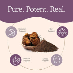 Real Mushrooms Chaga powder in tea cup, warming routine with woody aroma.