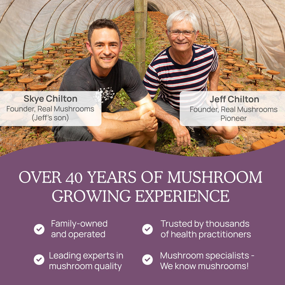 Real Mushrooms Chaga powder organic label, vegan and non-GMO assurance on packaging.