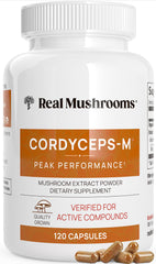 Real Mushrooms Cordyceps bottle showing pure extract for daily energy support.