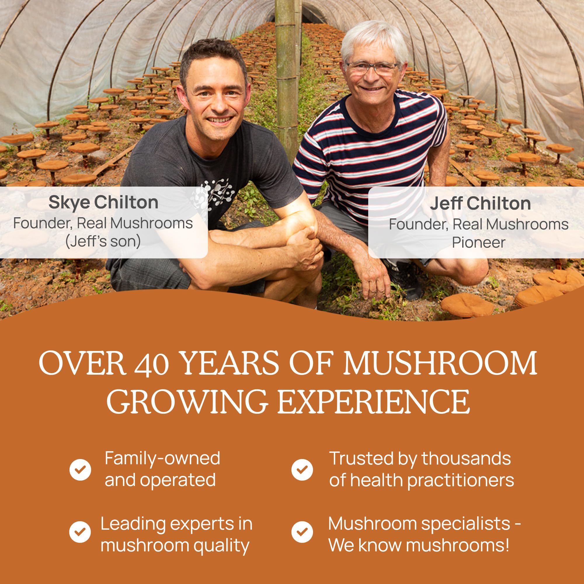 Real Mushrooms Cordyceps Capsules stored in pantry for convenient supplementation.