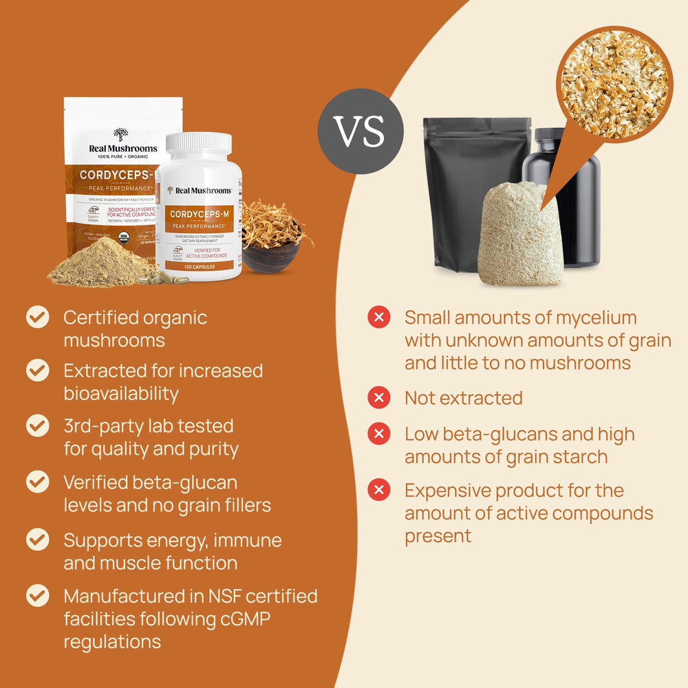 Real Mushrooms Cordyceps Capsules powder detail highlighting pure extract.
