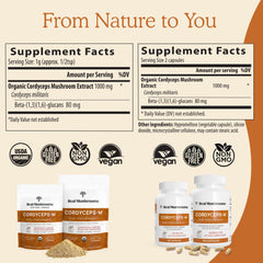 Real Mushrooms Cordyceps powder measuring spoon shows precise 1 gram serving.