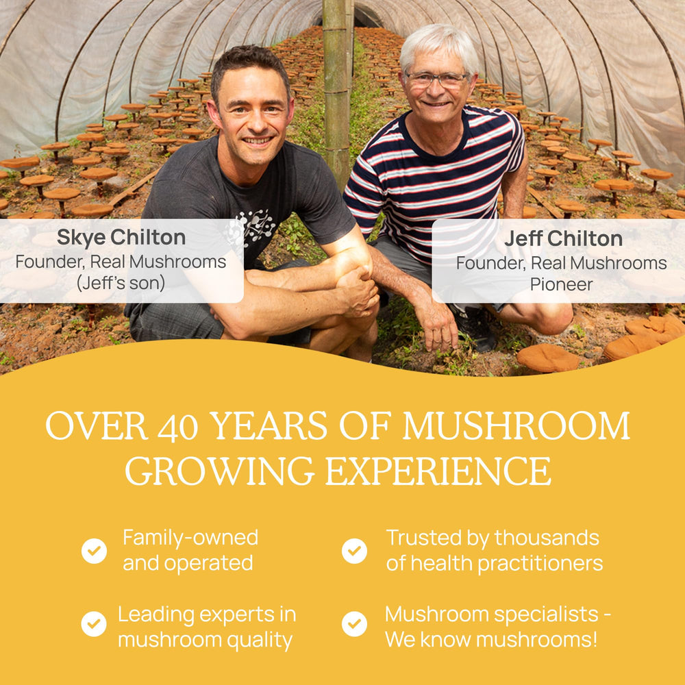 Real Mushrooms Tremella daily routine image suggests easy inclusion in meals.