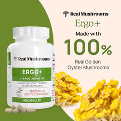 Closeup of Real Mushrooms ergothioneine capsules for easy use