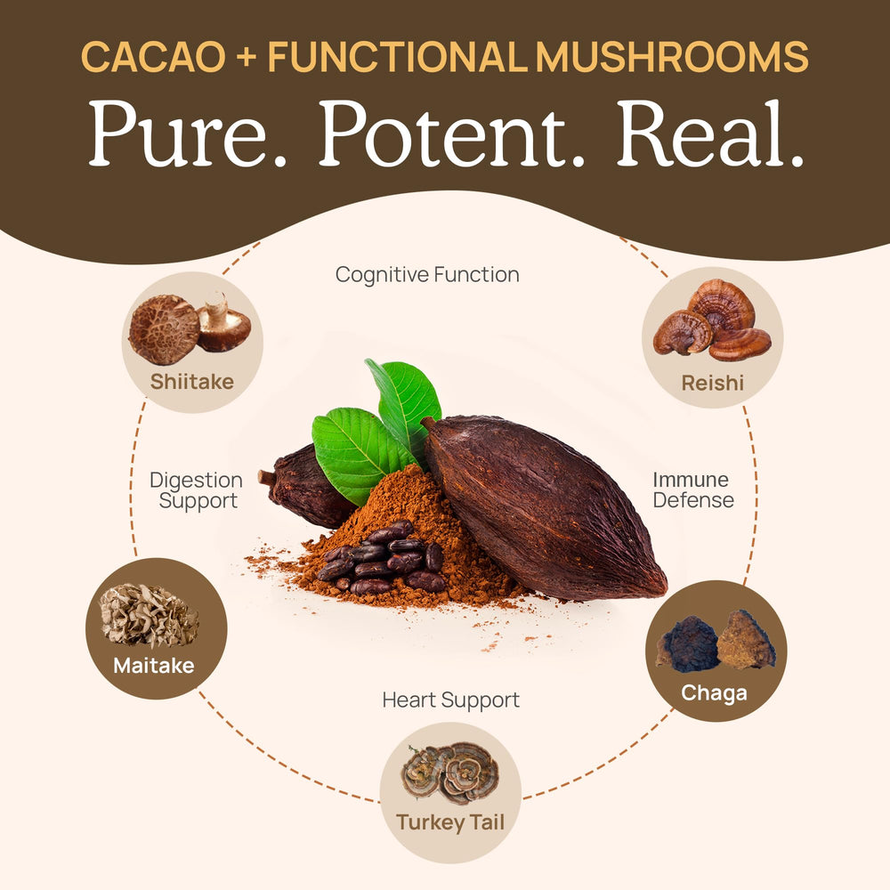 Real Mushrooms hot chocolate with vanilla and coconut sugar for smooth taste
