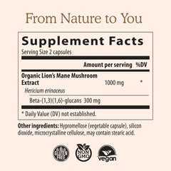 Real Mushrooms Lions Mane capsules closeup highlighting premium extract for mental clarity.