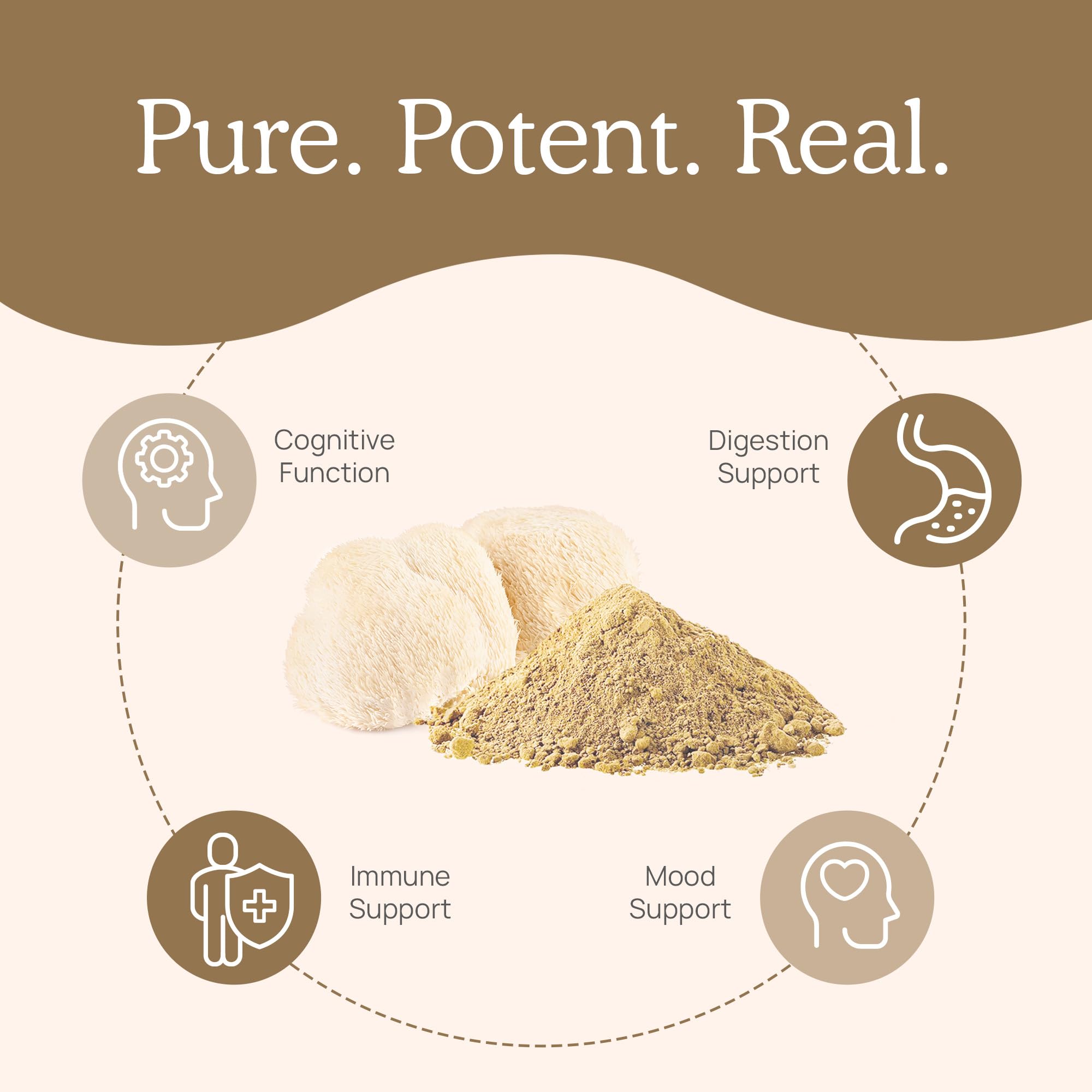 Visual of fruiting body extract signaling high potency beta-glucans.