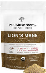 Real Mushrooms Lion's Mane powder bottle with organic label for daily focus support.