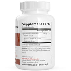 Real Mushrooms Reishi capsules close-up shows pure extract with no fillers.