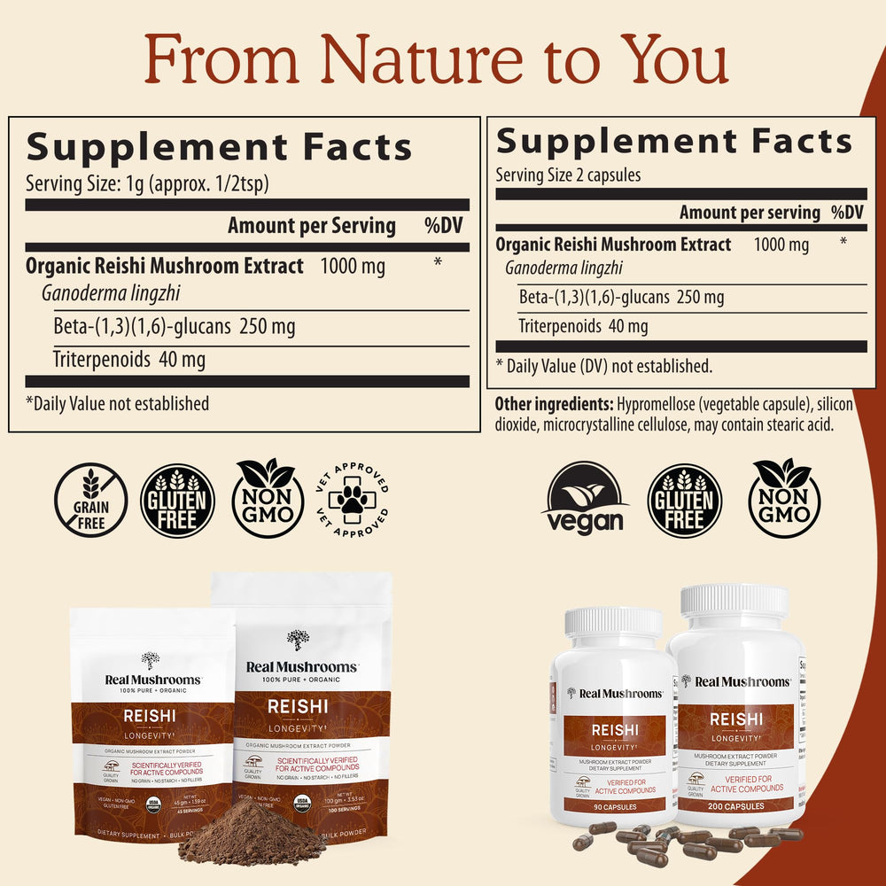 Real Mushrooms Reishi powder dispensing scoop demonstrates convenient daily use.