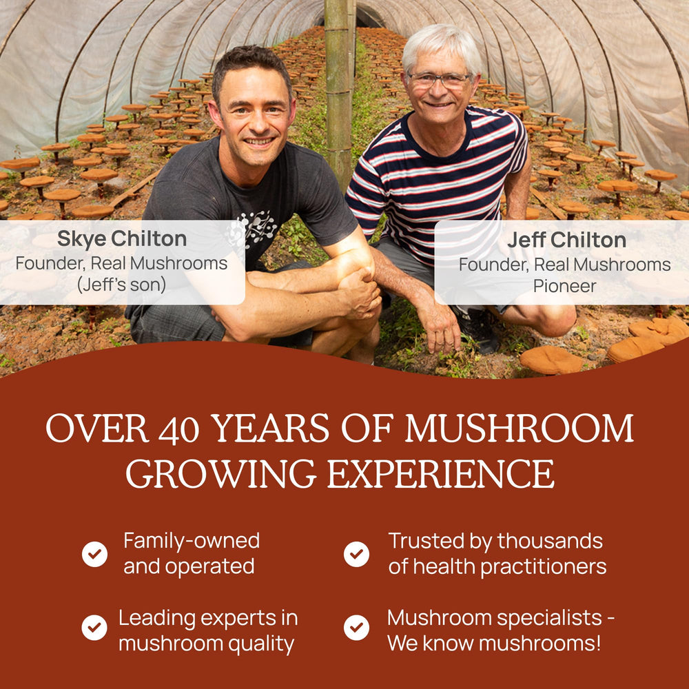 Real Mushrooms Reishi powder serving size shows 100 servings.